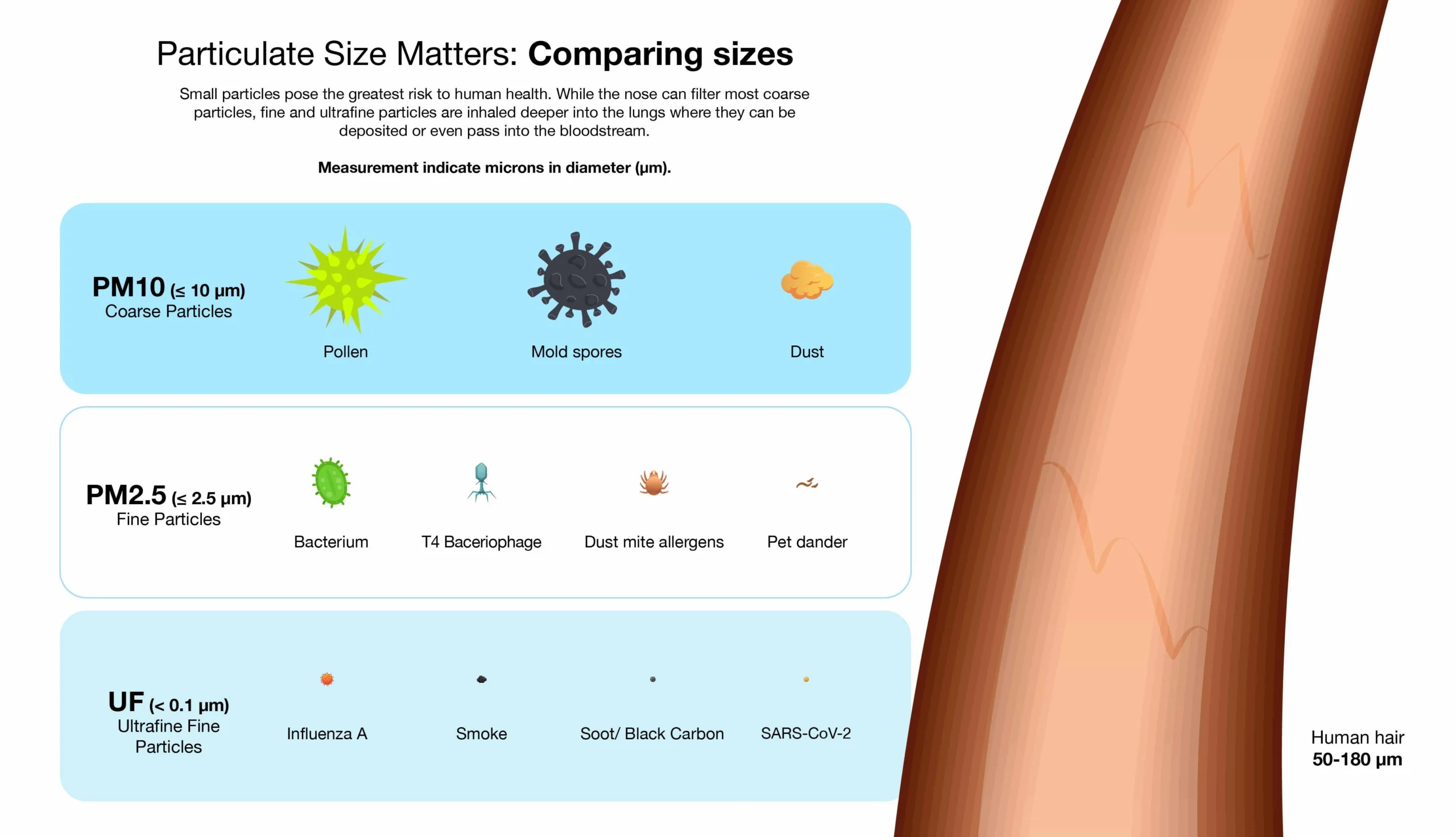 Một infographic đơn giản minh họa các chất ô nhiễm không khí trong nhà (CO2, VOCs, bụi mịn) và biểu tượng tác động tiêu cực của chúng lên giấc ngủ sâu.