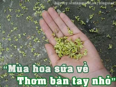 Hình ảnh minh họa không gian nhỏ chật chội và tù đọng cần cấp khí tươi cải thiện chất lượng không khí