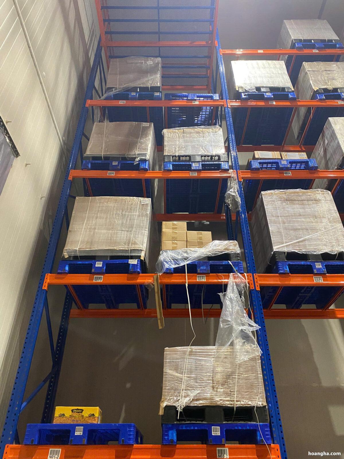Các loại kho lạnh phổ biến và ứng dụng trong kinh doanh