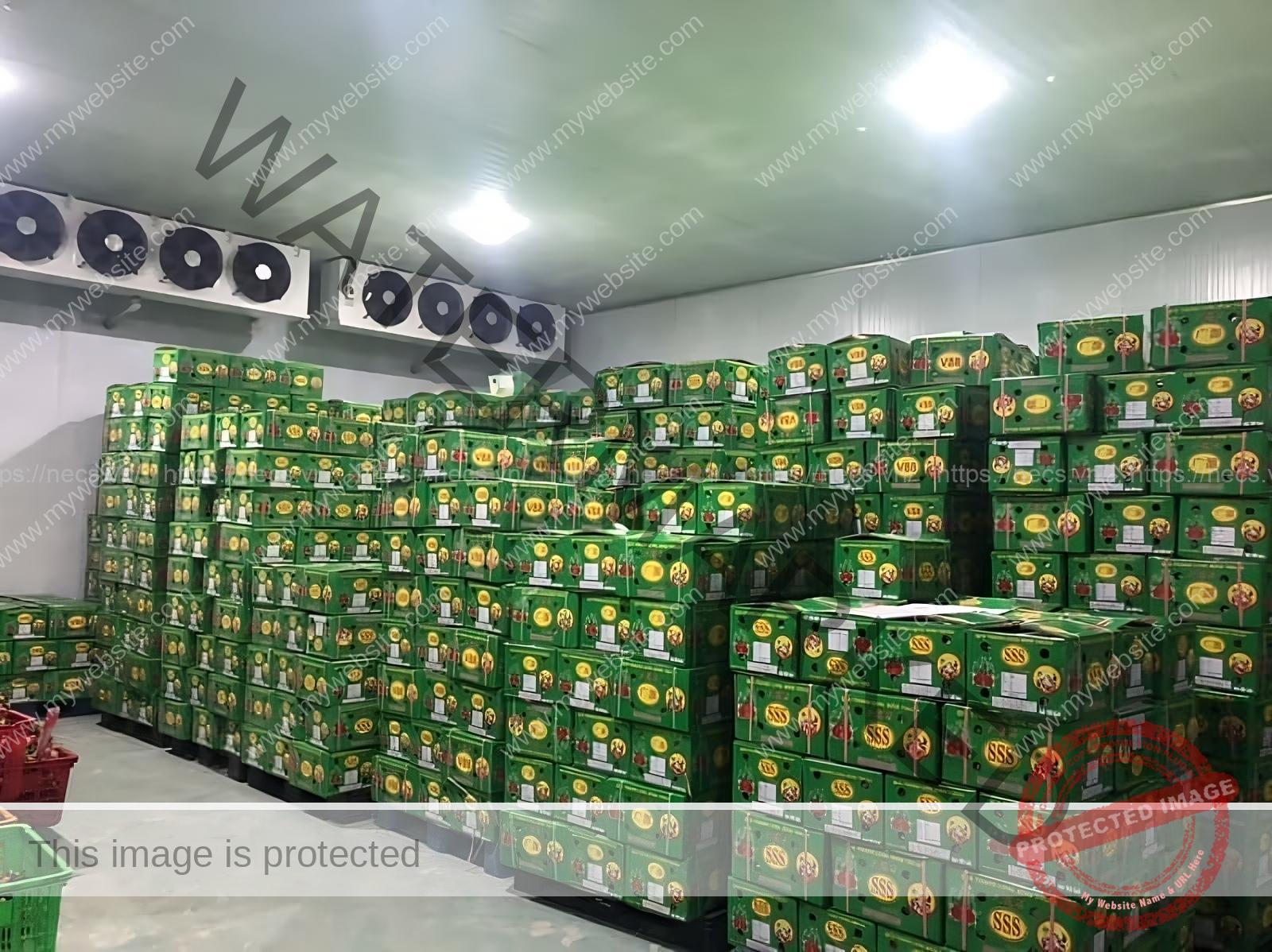 Thiết kế kho lạnh bảo quản trái cây hiện đại với hệ thống điều khiển thông minh giúp tối ưu hóa quá trình bảo quản